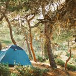 7 Gründe die für Profi Faltzelte sprechen