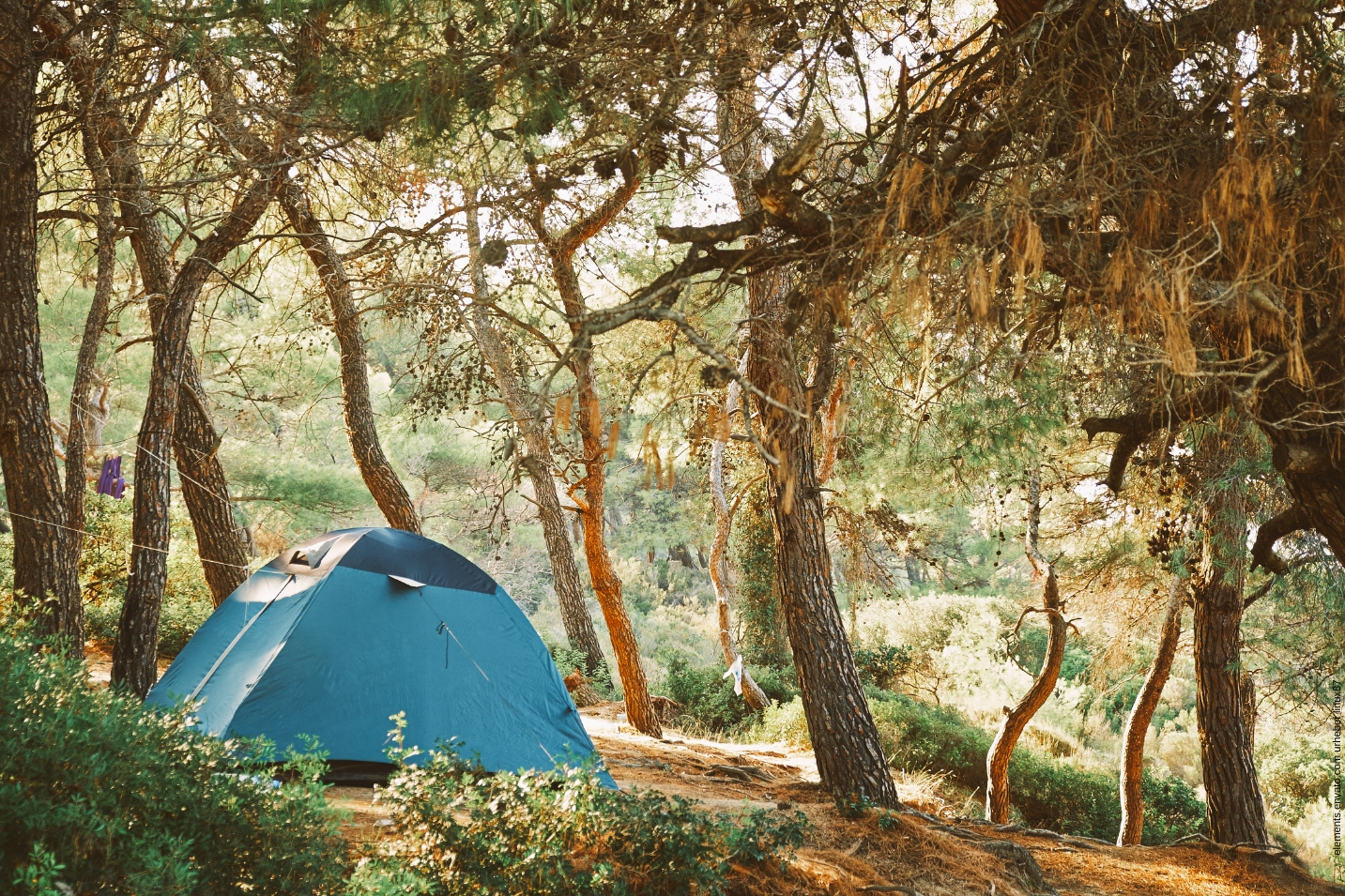 7 Gründe die für Profi Faltzelte sprechen