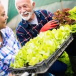 Hier erfahren sie alles über die größten Familienunternehmen Schleswig-Holstein.