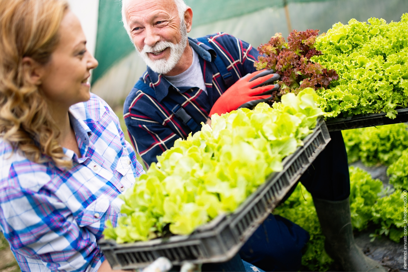 Hier erfahren sie alles über die größten Familienunternehmen Schleswig-Holstein.